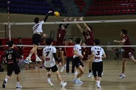 股票行情快报：公牛集团（603195）1月9日主力资金净买入544.86万元